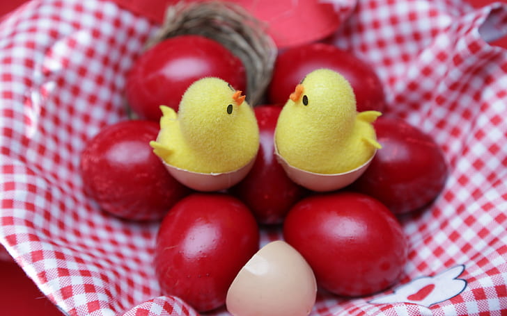 easter, easter eggs backgrounds, cloth, chickens, download 3840x2400 easter, HD wallpaper