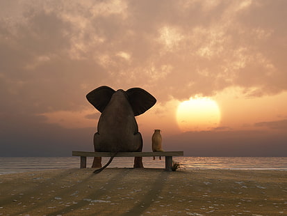فيل يجلس على مقاعد البدلاء التصوير الفوتوغرافي ، غروب الشمس ، الفيل ، الكلب، خلفية HD HD wallpaper