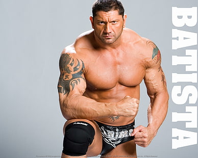 Batista Tier Batista The Animal WWE HD, Sport, Tier, Wrestling, WWE, Batista, das Tier, HD-Hintergrundbild HD wallpaper