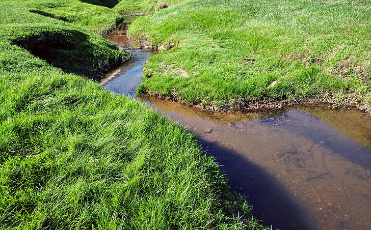 torrente, terrapieno, erba, fiume, acqua, a curve, Sfondo HD