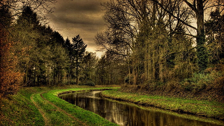 waterway, nature, canal, water, vegetation, forest, river, bank, wilderness, tree, woodland, sky, wetland, path, HD wallpaper