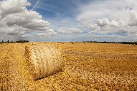 landscape photography of bale of hay on wheat field under cumulus clouds during daytime, Hay, Bales, Yorkshire, landscape photography, bale, wheat field, cumulus clouds, daytime, nature, life, canon, uk, visit england, farming, countryside, wide angle, countrywide, tour, agriculture, field, rural Scene, farm, summer, yellow, harvesting, crop, gold Colored, wheat, sky, straw, outdoors, landscape, landscaped, growth, blue, HD wallpaper HD wallpaper