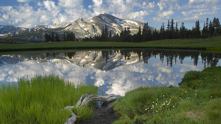 Grünpflanze, Landschaft, See, Berge, Reflexion, Kiefern, HD-Hintergrundbild