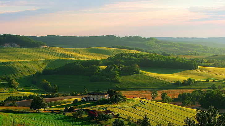 champ d'herbe verte, paysage, collines, lumière du soleil, maison, arbres, ferme, Italie, Toscane, Fond d'écran HD