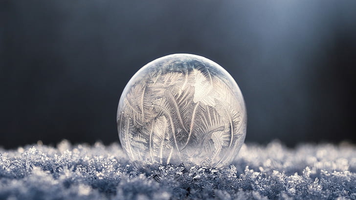 macro, frost, frozen bubble, soap, bubbles, photography, winter, ice, HD wallpaper