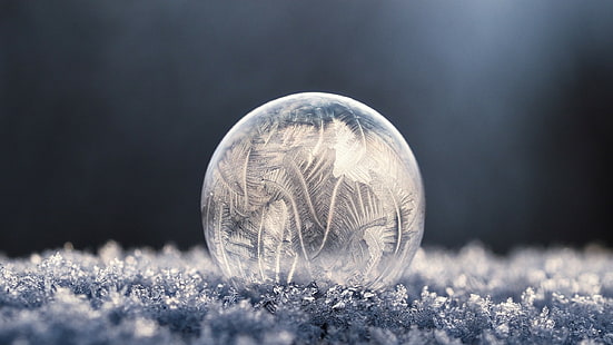 macro, frost, frozen bubble, soap, bubbles, photography, winter, ice, HD wallpaper HD wallpaper
