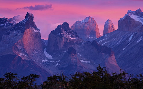 сиви и кафяви скални образувания, природа, пейзаж, Патагония, планини, Торес дел Пайне, Чили, гора, HD тапет HD wallpaper