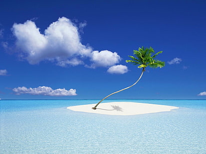 الشاطئ والجزيرة وأشجار النخيل والبحر، خلفية HD HD wallpaper