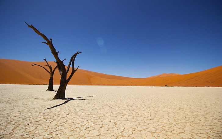 Namib Coastal Desert 4K, ทะเลทราย, ชายฝั่ง, นามิบ, วอลล์เปเปอร์ HD