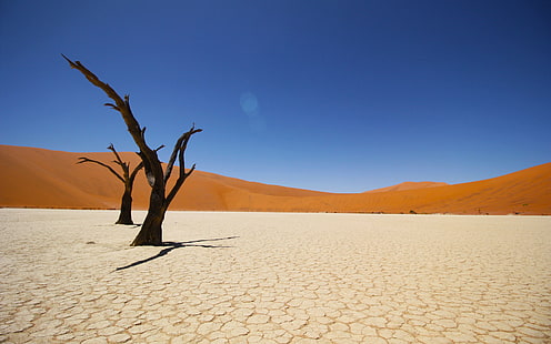 Deserto Costeiro do Namibe 4K, Deserto, Costeiro, Namibe, HD papel de parede HD wallpaper