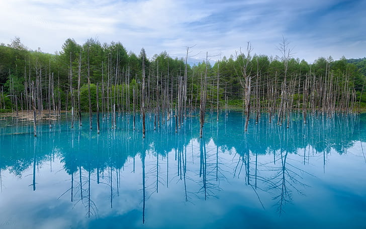Japonia Hokkaido, niebieski staw, odbicie wody, drzewa, błękitne niebo, Japonia, Hokkaido, niebieski, staw, woda, odbicie, drzewa, niebo, Tapety HD
