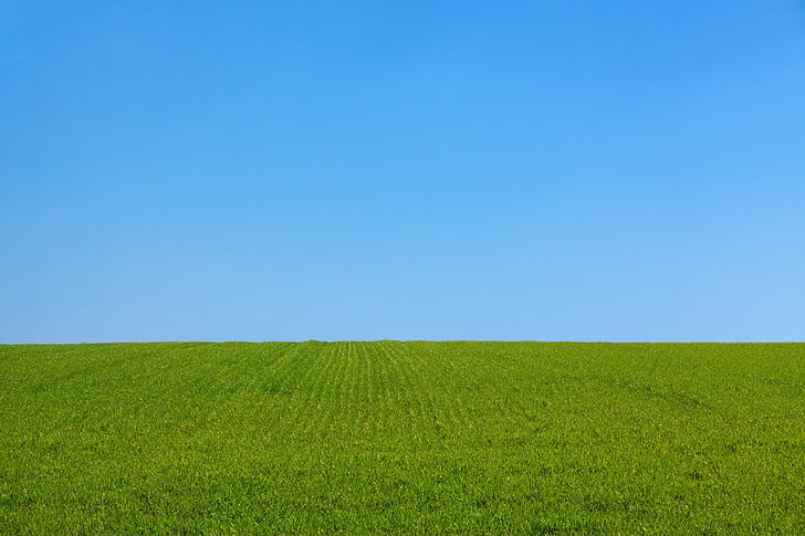 green grass field, blue, field, grass, green, landscape, lawns, nature, park, plants, sky, HD wallpaper