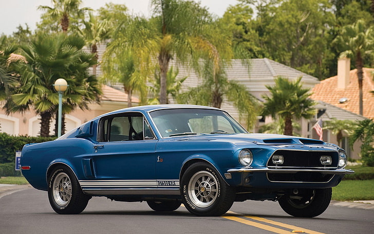 Ford, Shelby Cobra GT500 King Of The Road, Blue Car, Fastback, Muscle Car, HD wallpaper