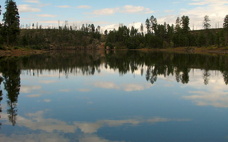 블랙 캐년 호수, 반사, 자연, 숲, 호수, 3d 및 개요, HD 배경 화면