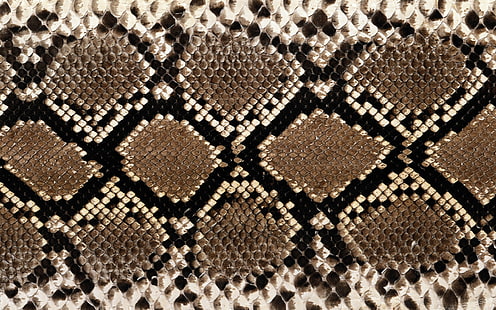 kulit ular tekstur Abstrak Tekstur HD Seni, tekstur, kulit, ular, Wallpaper HD HD wallpaper