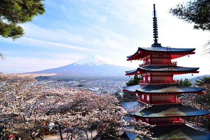 red and black-painted building, Japan, Asian architecture, Mount Fuji, cherry blossom, pagoda, HD wallpaper