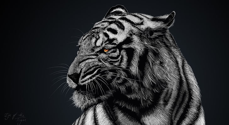 Tigre fondo de pantalla HD, tigre albino, artístico, dibujos, hermoso, tigre, Fondo de pantalla HD