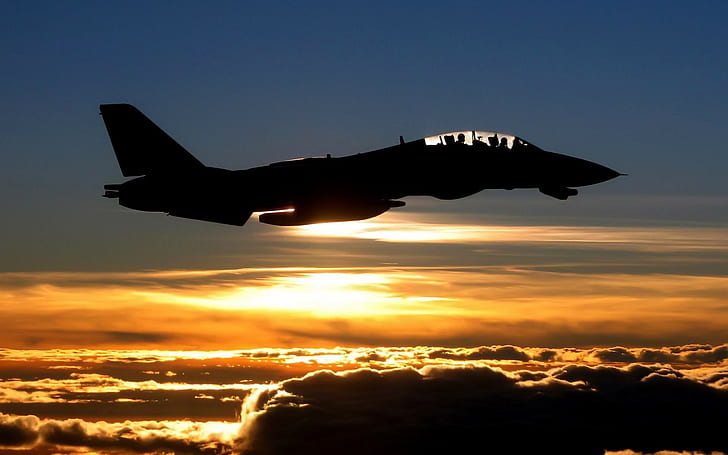 sunset, aircraft, military, vehicle, silhouette, F-14 Tomcat, military aircraft, HD wallpaper