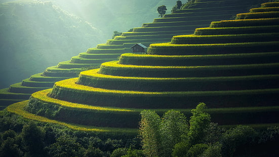 трева, оризови тераси, ориз, плантация, Азия, Индонезия, оризова тераса, Бали, слънчева светлина, зелено, небе, слънчеви лъчи, сутрин, хижа, пейзаж, поле, тераса, природа, HD тапет HD wallpaper