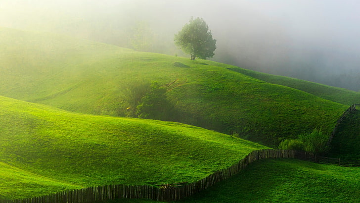 green mountain and trees, nature, landscape, hills, mist, trees, field, grass, fence, morning, sunlight, HD wallpaper