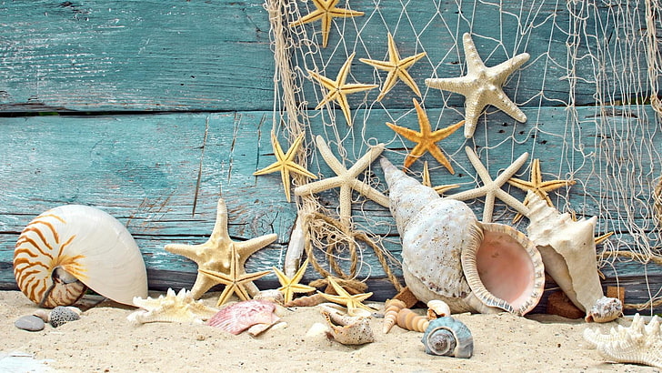 estate, stelle marine, conchiglie, legno, Sfondo HD