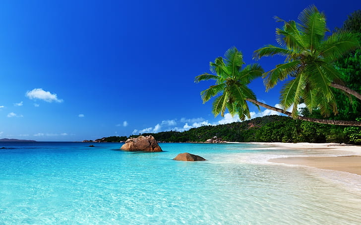 Pemandangan Pulau Tropis, laut, lanskap, telapak tangan, pantai, samudra, Wallpaper HD