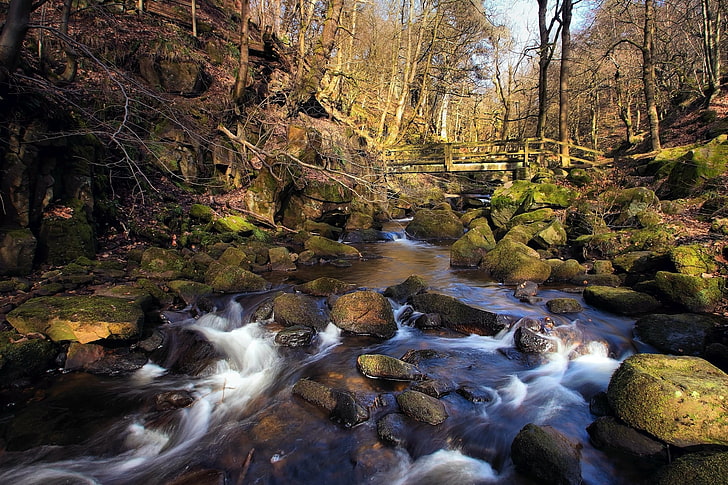 stream, spring, forest, river, stream, rocks, bridge, HD wallpaper