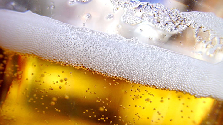 beer, drink, HD wallpaper