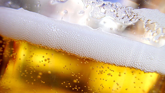 ビール、飲み物、 HDデスクトップの壁紙 HD wallpaper