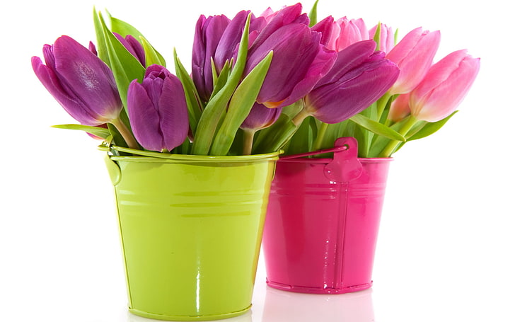 two purple and pink tulip flower centerpieces, flowers, tulips, pots, bucket, HD wallpaper