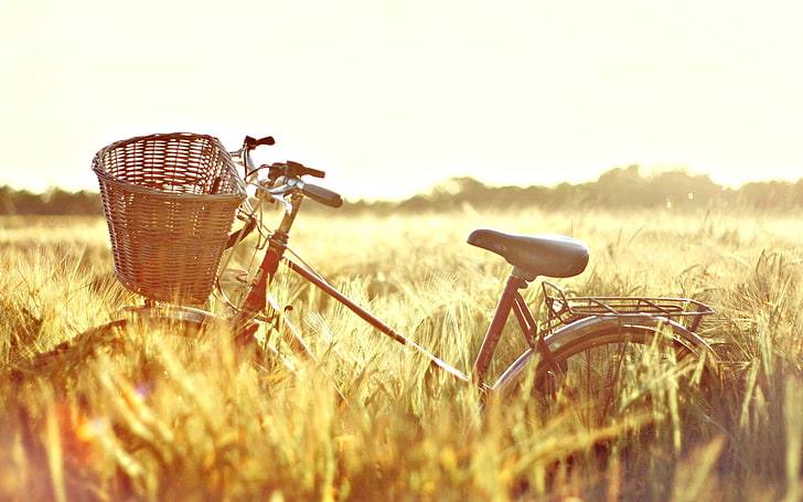 brown step-through bicycle, wheat, field, the sun, nature, bike, background, Wallpaper, basket, mood, rye, ears, bicycle, Sunny day, widescreen, sun, day, full screen, HD wallpapers, HD wallpaper