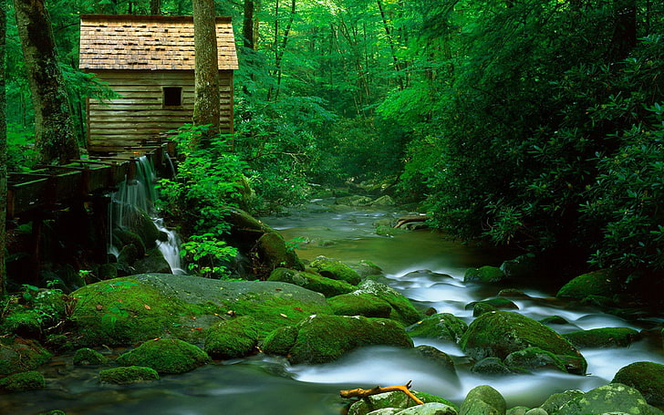 自然の美しさ緑の苔で覆われた澄んだ水岩のある木製の水山川木々のある厚い緑の森デスクトップHd壁紙3840×2400、 HDデスクトップの壁紙