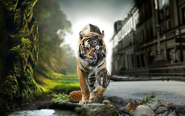 brauner und schwarzer tiger, tiere, steampunk, fotomanipulation, spaltung, tiger, uhrwerk, zahnräder, roboter, HD-Hintergrundbild
