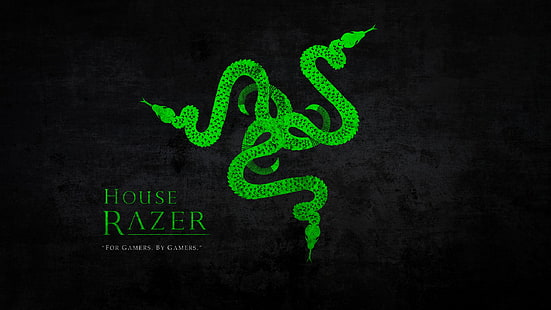 2K, jugadores, verde, logotipo, logotipo, Razer, Razer Inc., serpiente, tipografía, Fondo de pantalla HD HD wallpaper
