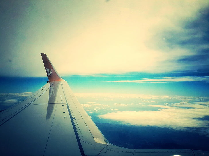 weiße Flugzeugflügel, Flugzeug, Flügel, HD-Hintergrundbild