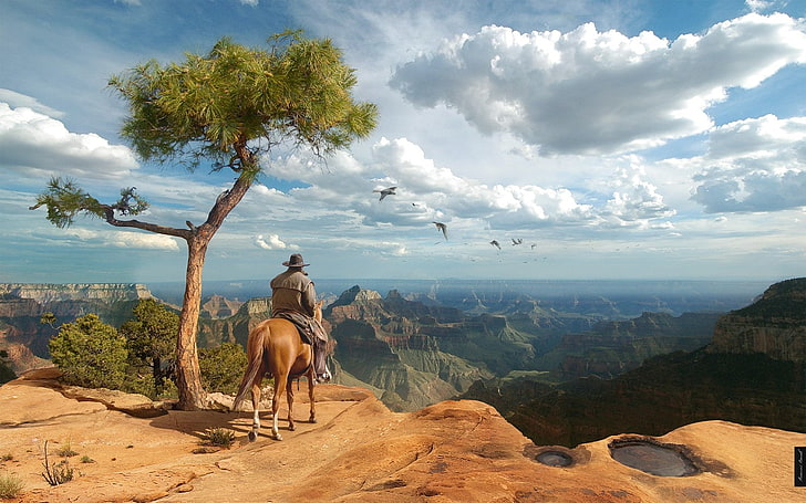 Uomini, Cowboy, Canyon, Grand Canyon, Cavallo, Paesaggio, Sfondo HD