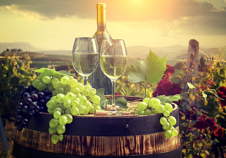 landscape, wine, bottle, glasses, grapes, tube, barrel, HD wallpaper