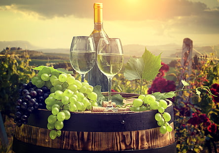 paesaggio, vino, bottiglia, bicchieri, uva, tubo, botte, Sfondo HD HD wallpaper