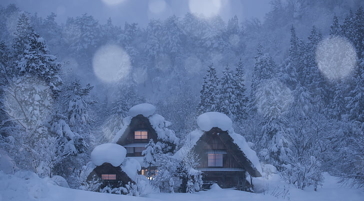 Snowy Chalets, Forest Trees, Winter, Seasons, Winter, HD wallpaper