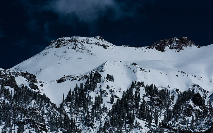 berg, snö bakgrunder, träd, topp, ladda ner 3840x2400 berg, HD tapet