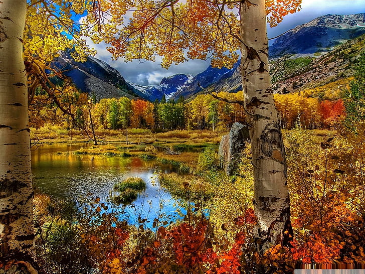 Górska jesień, brązowe, pomarańczowe i zielone liściaste drzewa i rośliny oraz zbiornik wodny, drzewa, góry, jezioro, jesień, jesień, przyroda i krajobrazy, Tapety HD