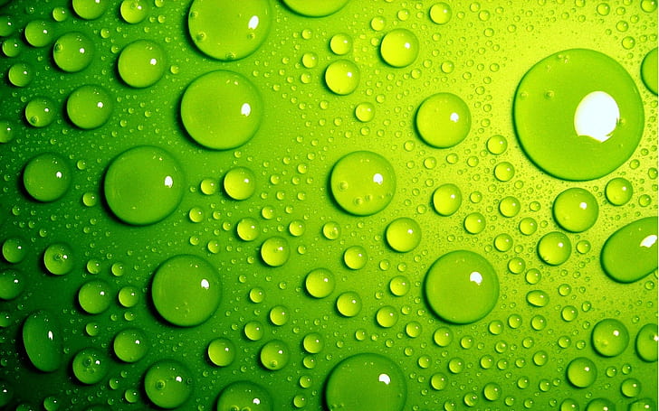 Tetes hijau, embun air, Hijau, Tetes, Wallpaper HD