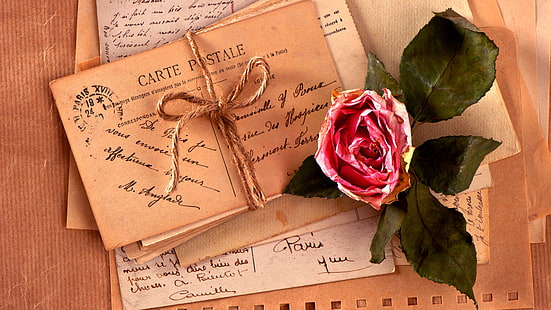 цветок, письмо, почта, роза, открытка, романтика, любовь, лепесток, бумага, шрифт, каллиграфия, античный, старый, винтаж, HD обои HD wallpaper