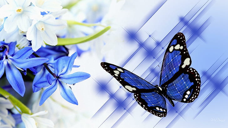 Baby Blues, firefox persona, nature, floral, blue, butterfly, lilies, flowers, 3d and abstract, HD wallpaper