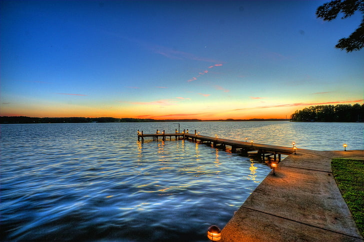 브라운 리버 독, 호수, HD 배경 화면