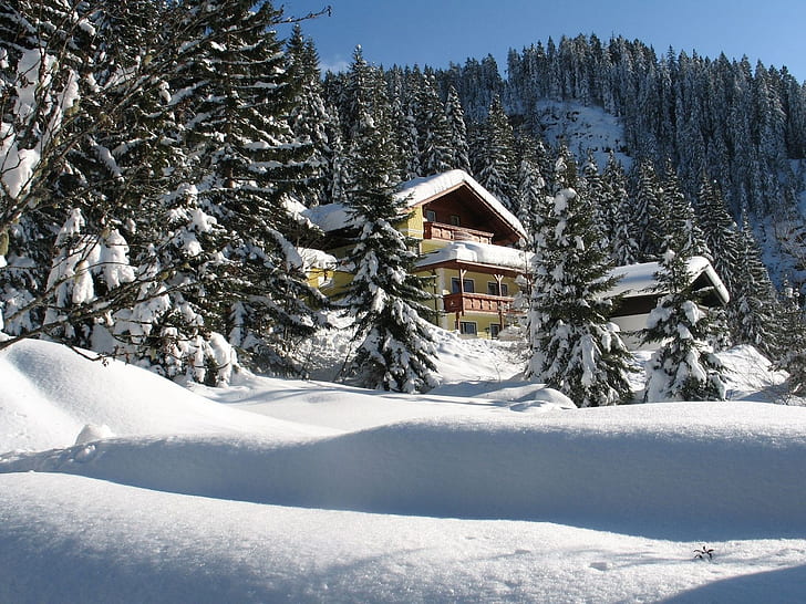 dom, hotel, drzewa futerkowe, iglaste, zaspy śnieżne, śnieg, drzewa, Tapety HD