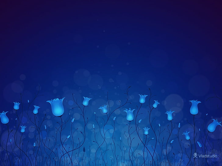 grafika z podświetlanymi płatkami kwiatów, Vladstudio, kwiaty, niebieskie tło, Tapety HD