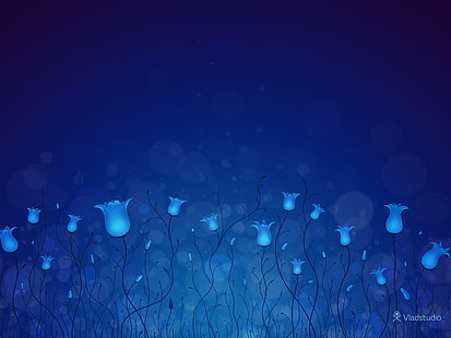 grafis bunga petaled menyala, Vladstudio, bunga, latar belakang biru, Wallpaper HD HD wallpaper
