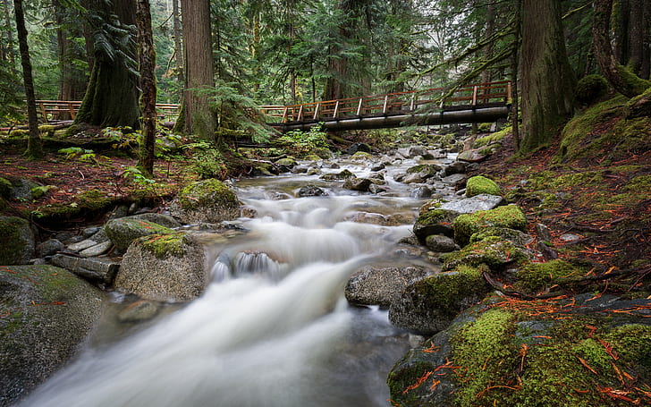 timelapse and landscape photography of waterfalls, Flows, timelapse, landscape photography, long exposure, nature, forest, trees, stream, water, Deception, Falls, Pacific Northwest, Washington, Canon EOS 5D Mark III, Canon EF, 35mm, 4L, mini, waterfall, river, tree, moss, outdoors, rock - Object, landscape, scenics, green Color, freshness, beauty In Nature, woodland, leaf, HD wallpaper