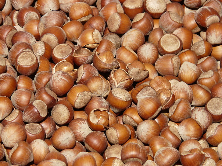 food, hazelnuts, nuts, HD wallpaper